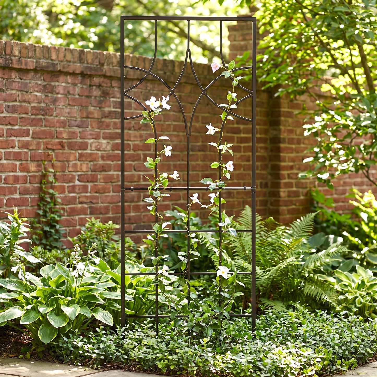plants on a trellis H Potter Garden Trellis