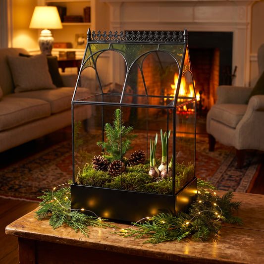 H Potter glass terrarium centerpiece displayed on a wooden table in a cozy living room. The miniature greenhouse-style arrangement features faux moss, a small evergreen sprig, pinecones, garlic bulbs, and warm string lights draped around the base.