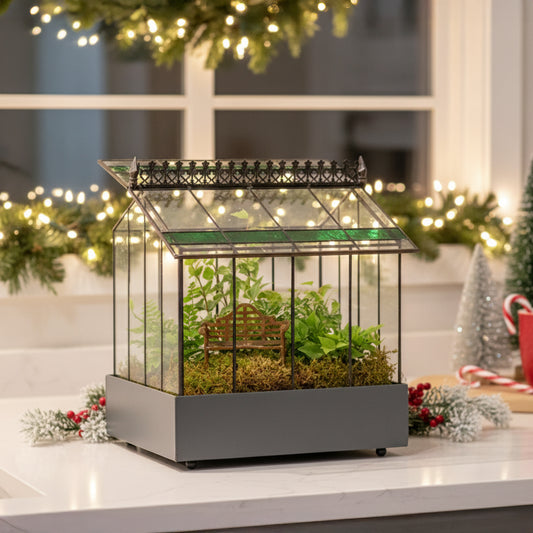 Terrarium & Wardian Case History & Planting | H Potter Blog