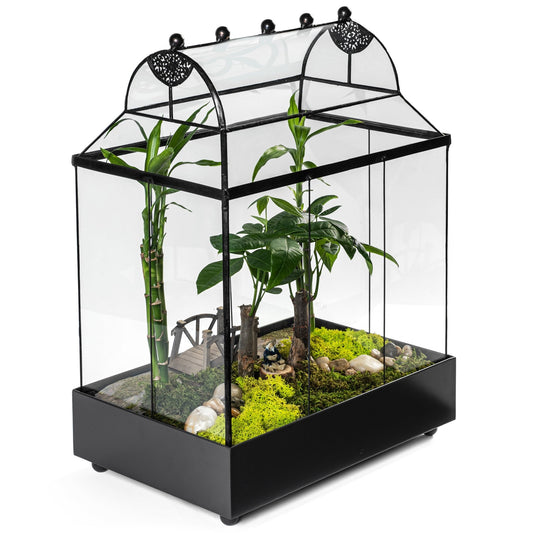 H Potter glass terrarium wardian case with indoor plants, moss display, and dark gray 
metal base for tabletop garden styling