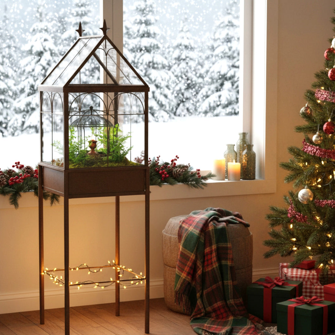 Terrarium: Handcrafted Glass Terrarium Sets & Plant Terrariums