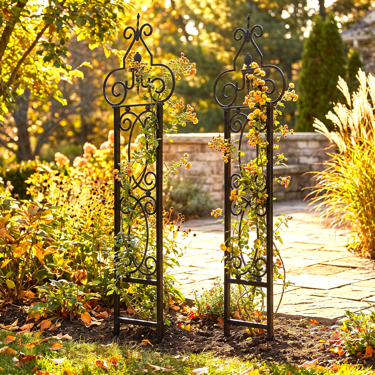 Set of 2 H Potter Heritage Scroll black garden trellises with decorative scrollwork  shown in a sunny backyard garden setting with climbing yellow flowers and autumn foliage.