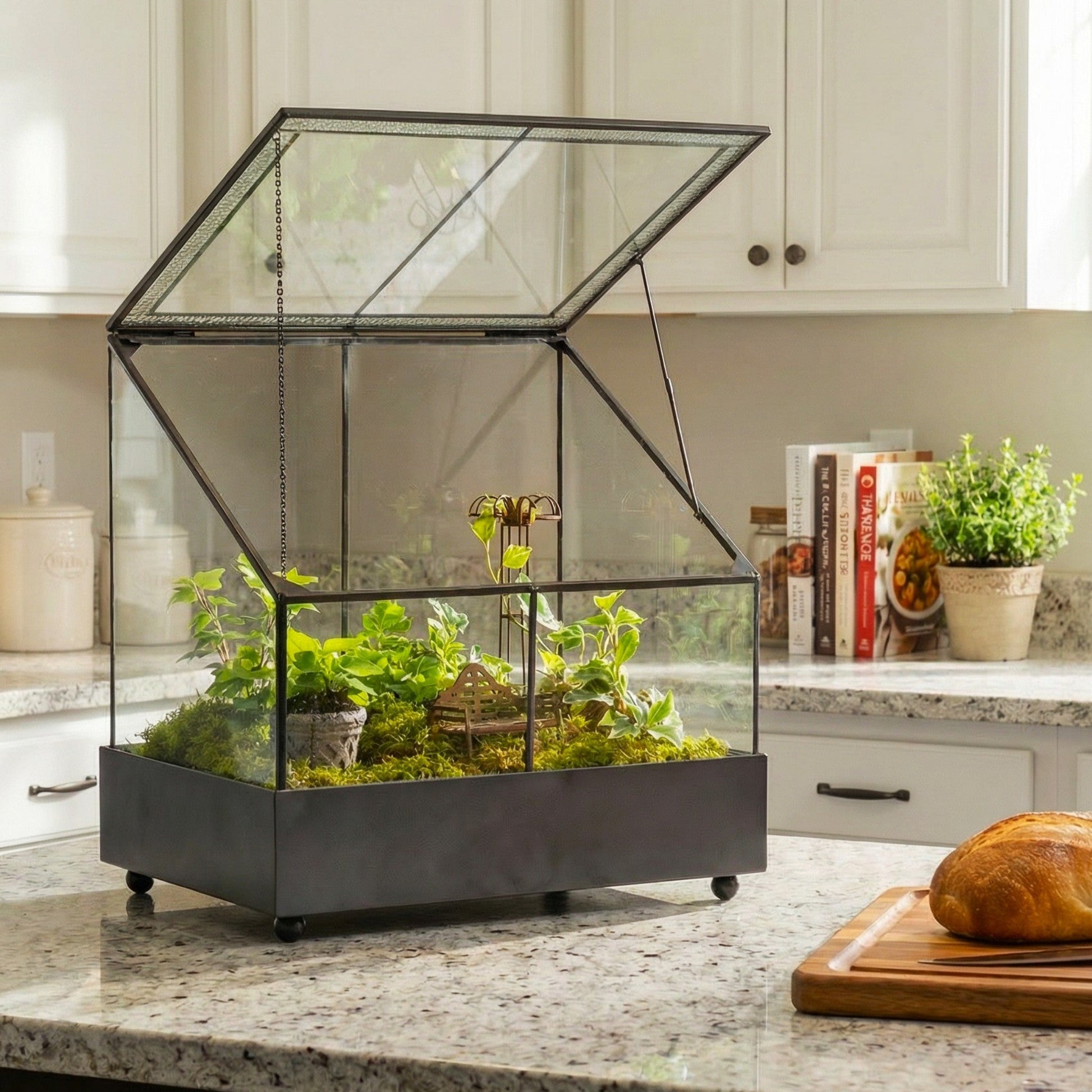terrarium without plants Terrarium Fairy Garden Display Glass From H Potter