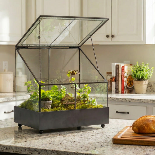H Potter Hinged Roof Wardian Case Glass Terrarium in kitchen
