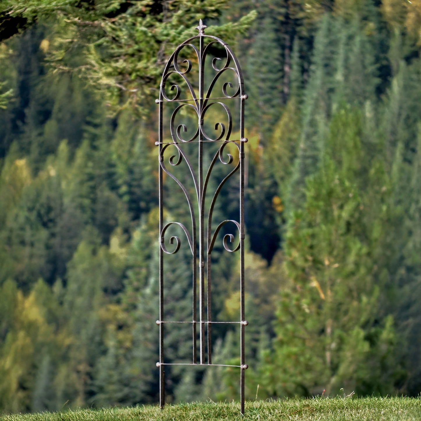 H Potter Italian Iron garden trellis in outdoor garden with climbing plants, backyard landscape decor