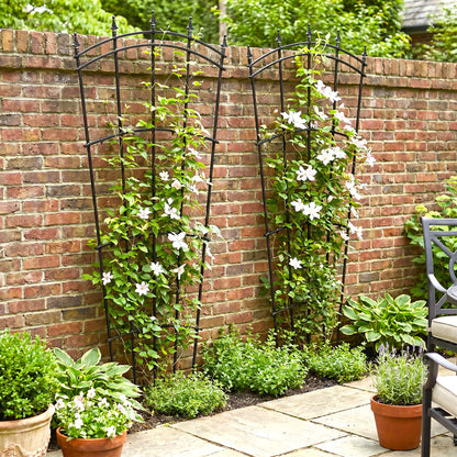 H Potter Metal Garden Trellis Fan Style Black Finish Set of 2 with clematis vines near brick wall