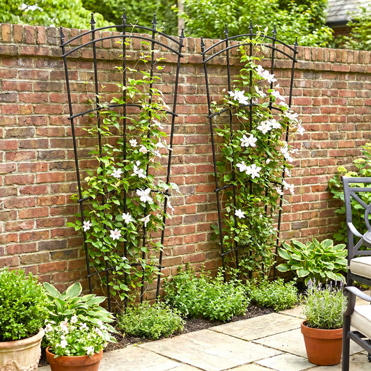 H Potter Metal Garden Trellis Fan Style Black Finish Set of 2 with clematis vines near brick wall