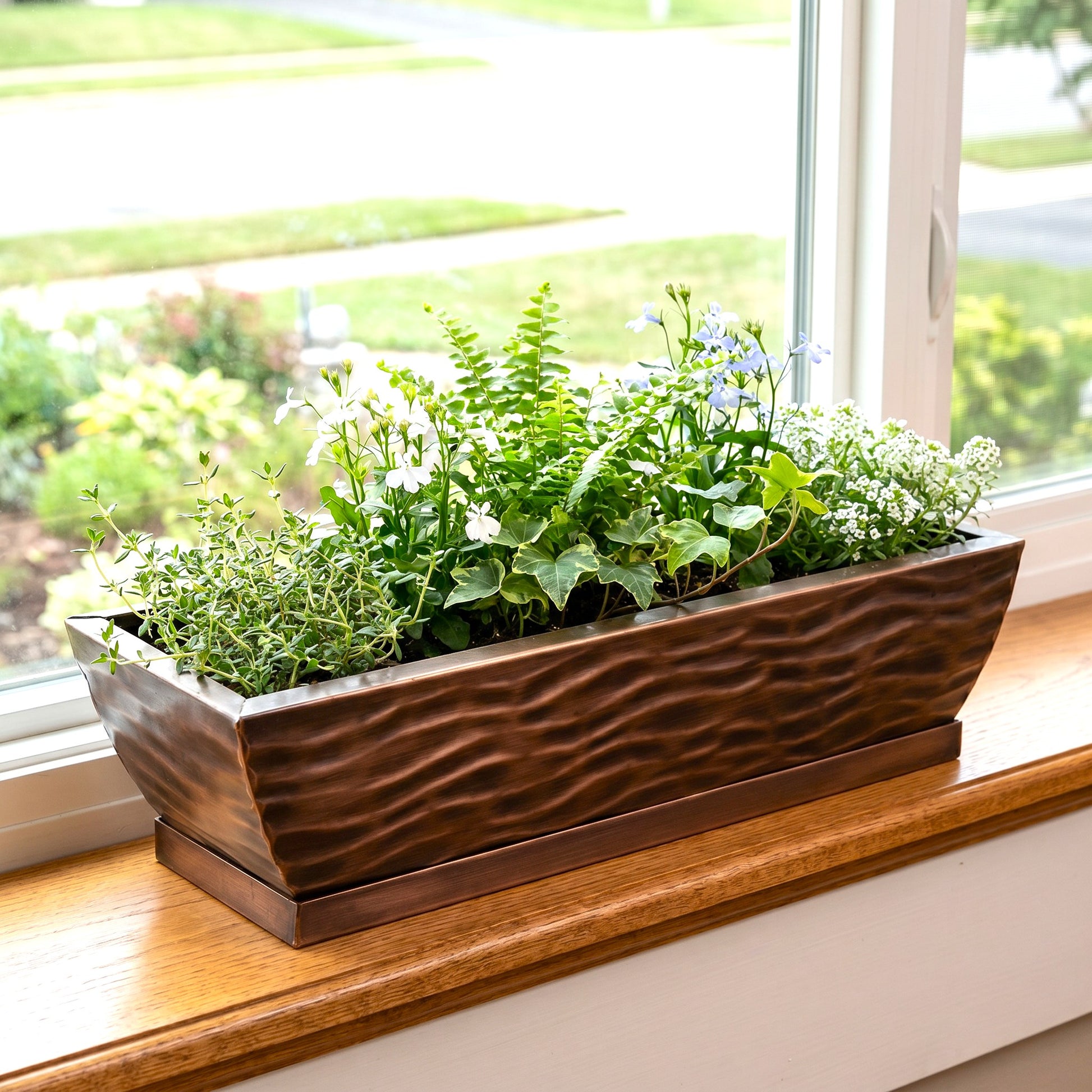 rectangular succulent pot H Potter Rectangular Tabletop Planter | Wave Design