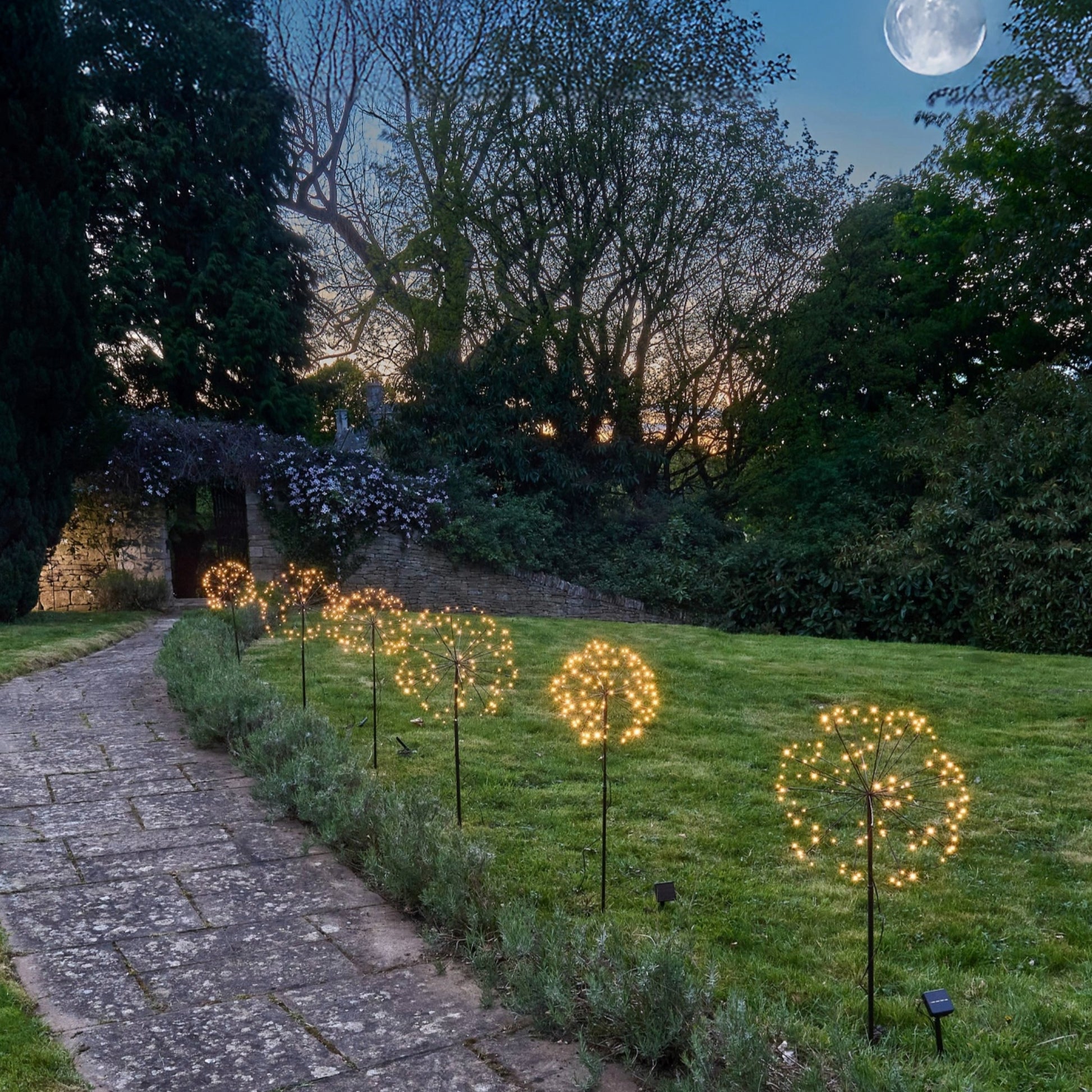 H Potter solar lights along a pathway in the moonlight