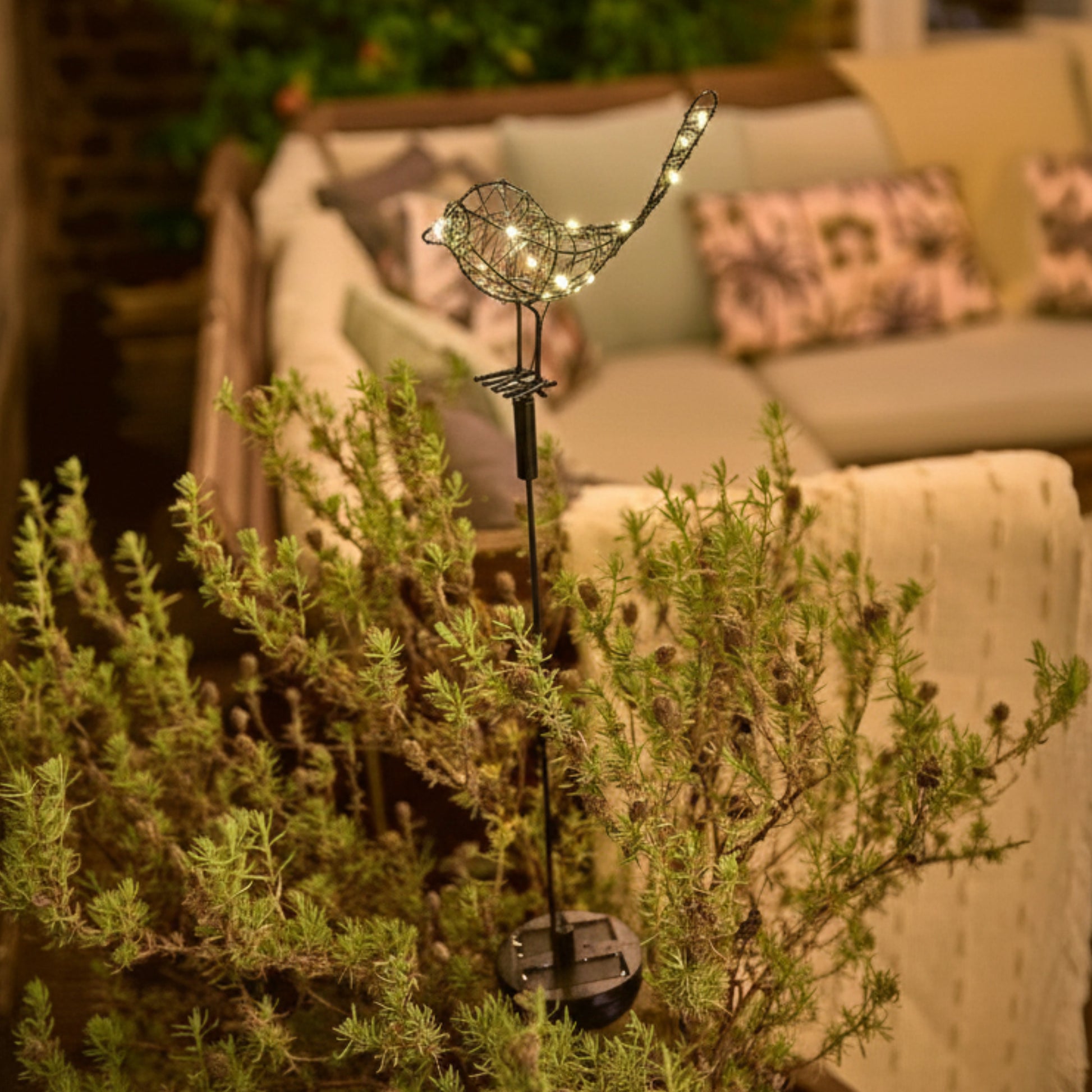 h potter solar sparrow single bird in a planter