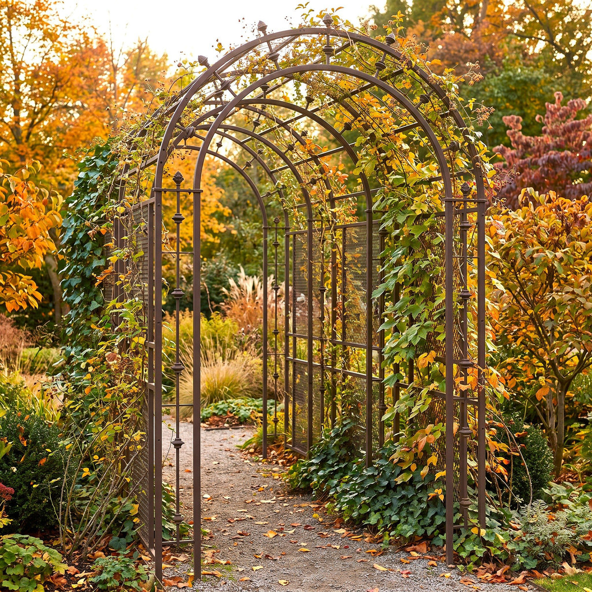 H Potter rustic metal arched garden trellis covered with climbing ivy, situated on a gravel path in a lush garden with vibrant autumn foliage.