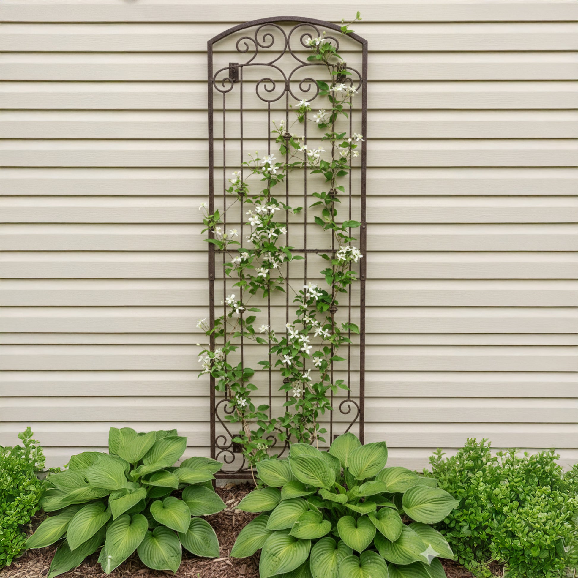H Potter metal trellis with climbing plants against a beige wall