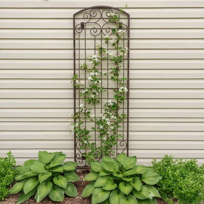 H Potter metal trellis with climbing plants against a beige wall