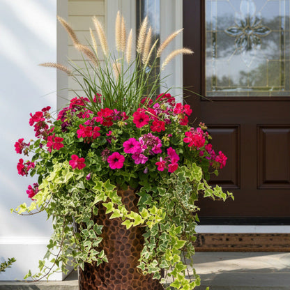 Tall Planter at front door with thriller spiller flowers