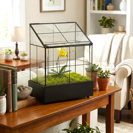 h potter brand terrarium on a wooden table in a cozy living room