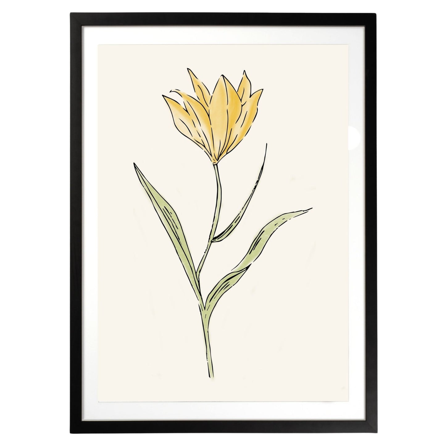 Yellow Flower Botanical Fine Art Print by H Potter