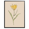 Yellow Flower Botanical Fine Art Print by H Potter