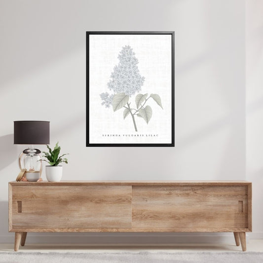 Lilac Botanical Fine Art Print by H Potter
