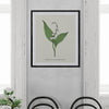 Spring Flowers Set Botanical Fine Art Print by H Potter