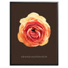 Orange Ranunculus Botanical Fine Art Print by H Potter