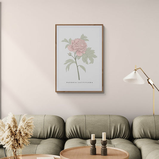 Peony Botanical Fine Art Print by H Potter Pink