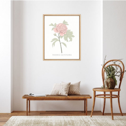 Peony Botanical Fine Art Print by H Potter Pink