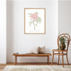 Peony Botanical Fine Art Print by H Potter Pink