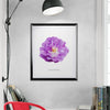 Roses Flowers Set Botanical Fine Art Print by H Potter
