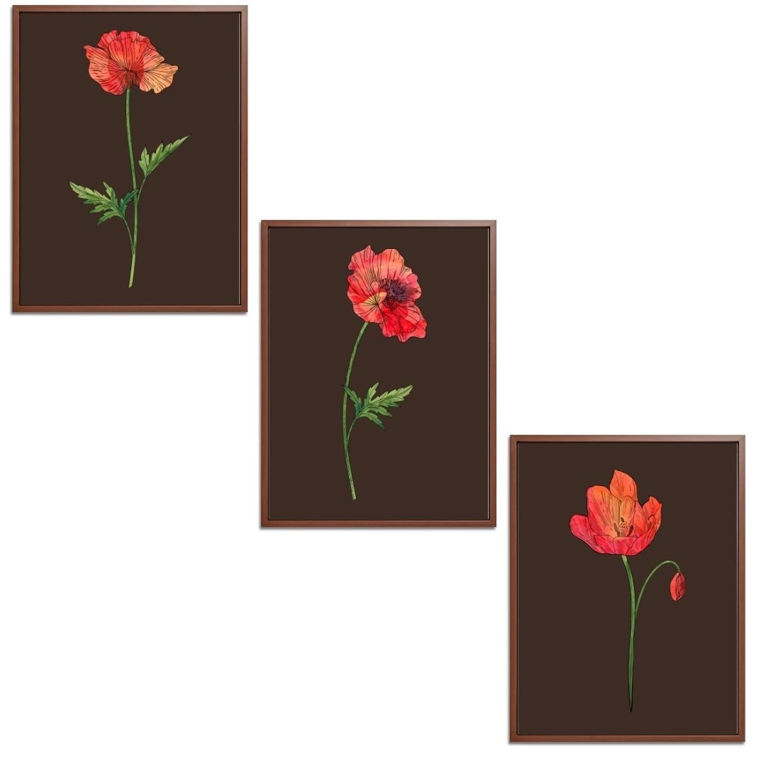 Poppies Set Botanical Fine Art Print by H Potter