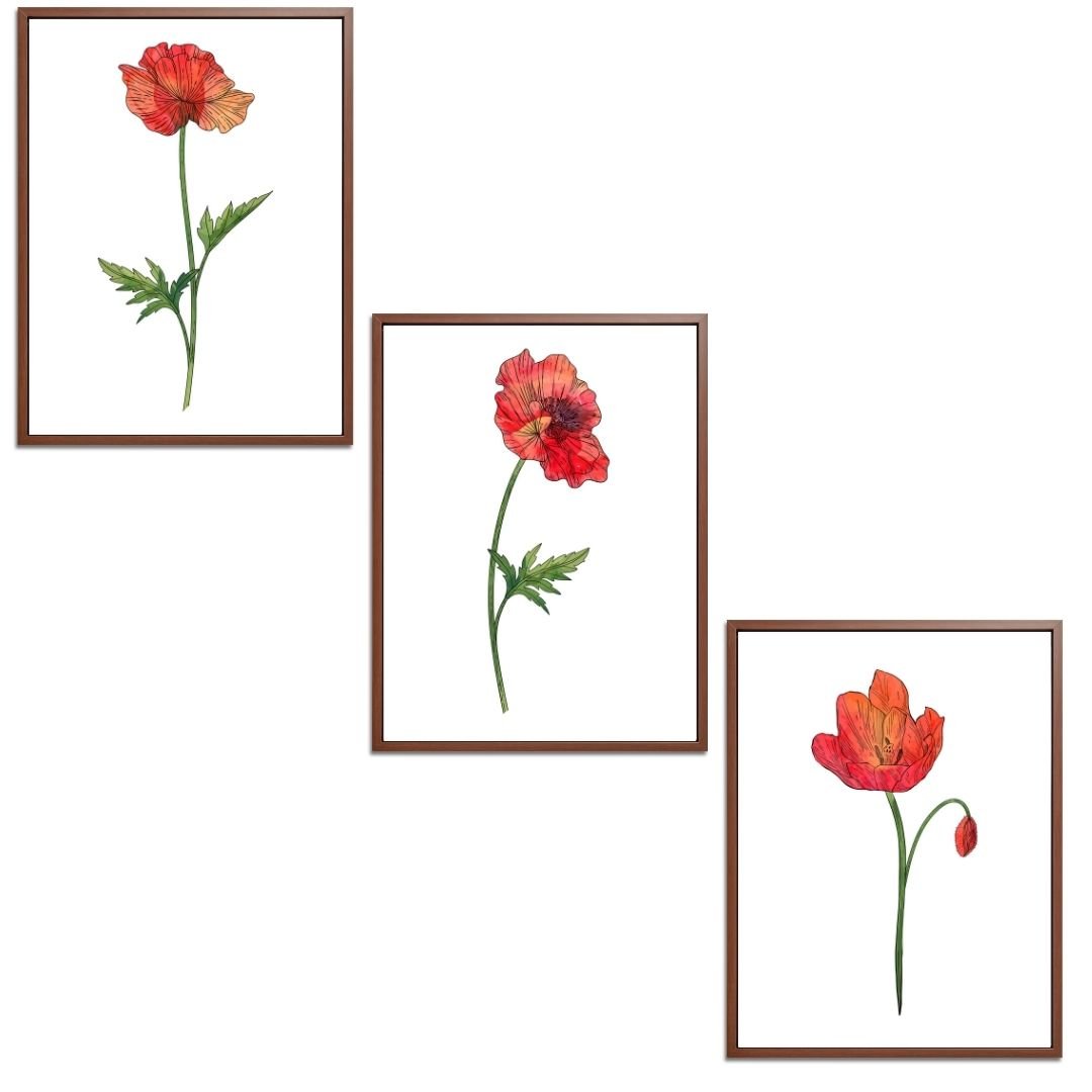 Poppies Set Botanical Fine Art Print by H Potter