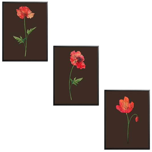 Poppies Set Botanical Fine Art Print by H Potter