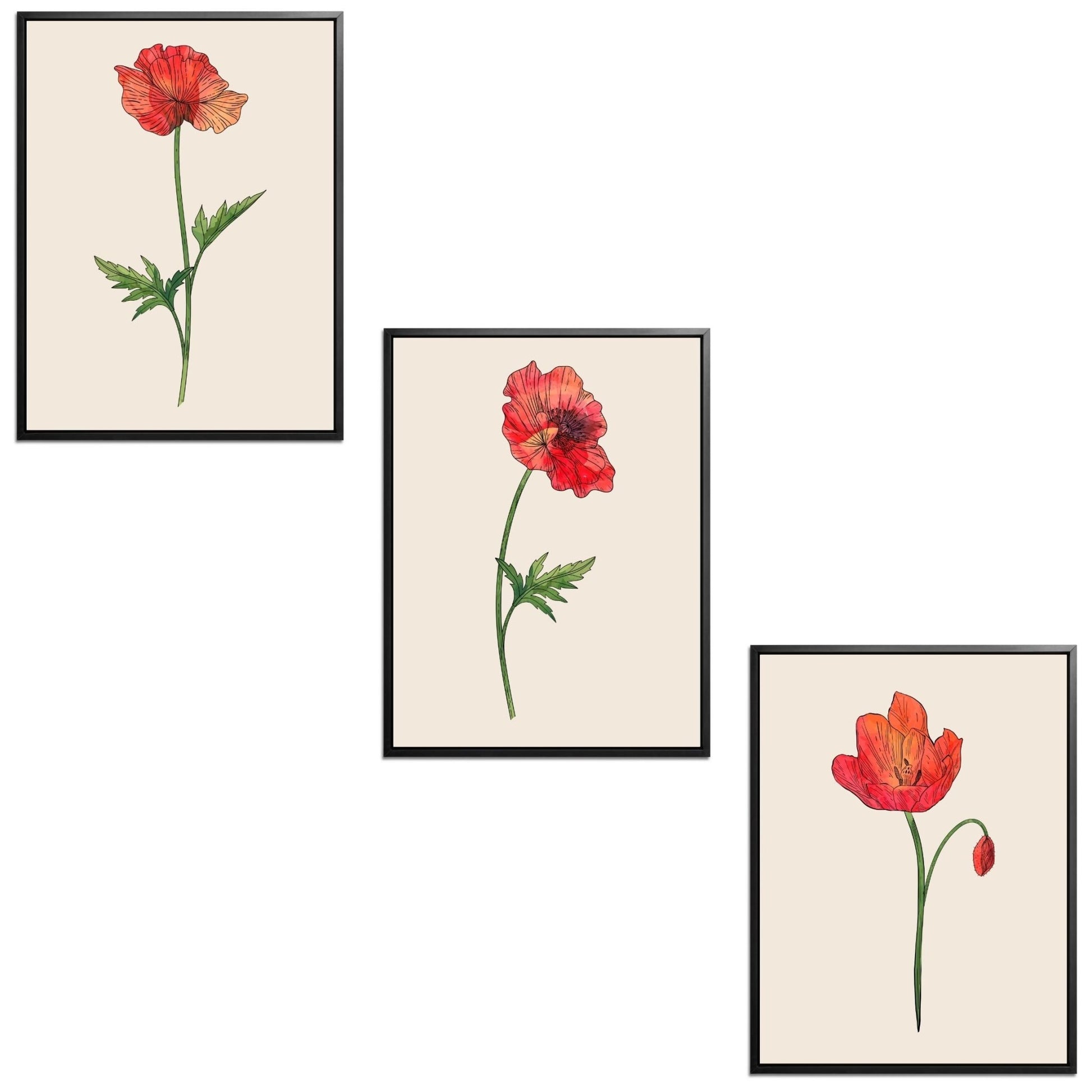 Poppies Set Botanical Fine Art Print by H Potter