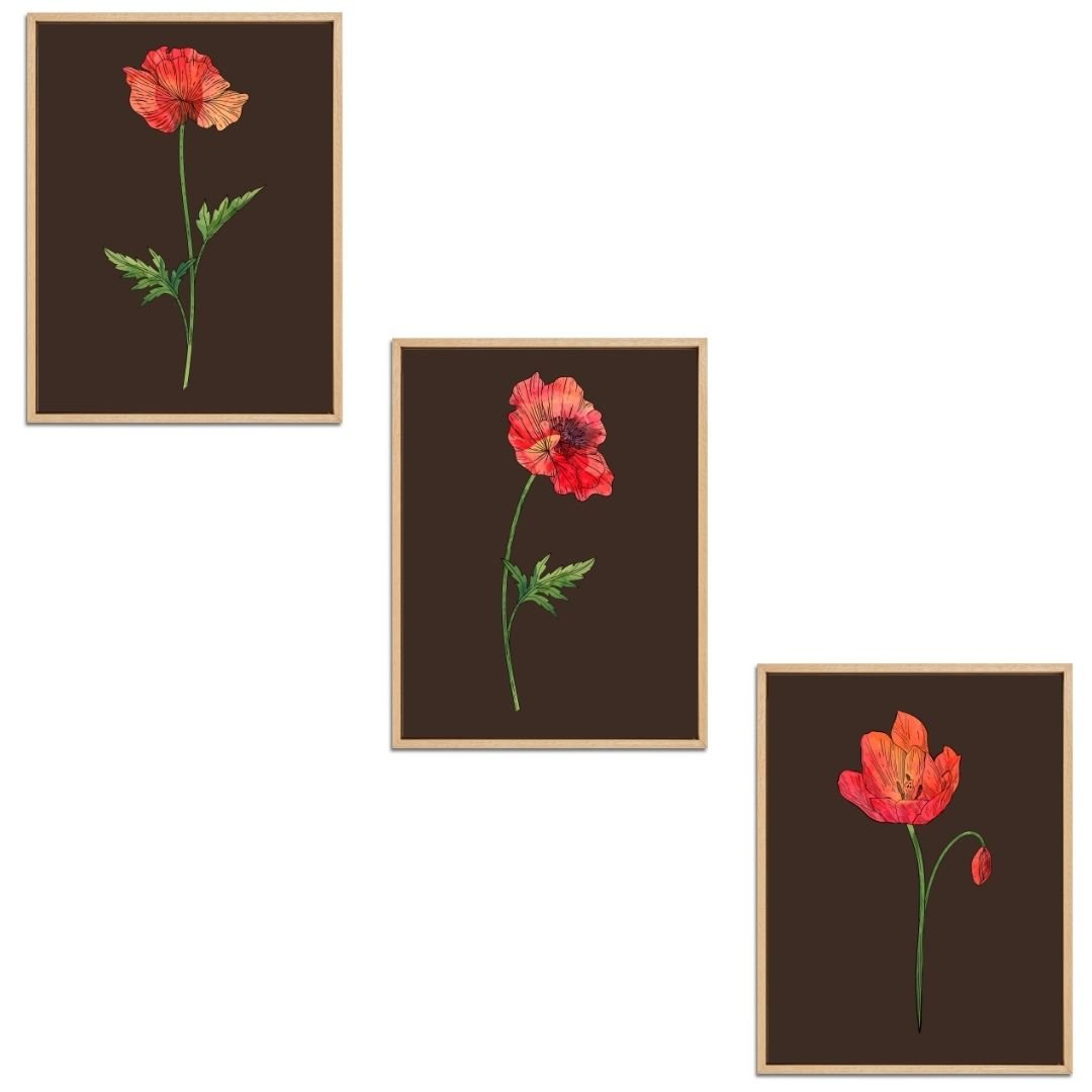 Poppies Set Botanical Fine Art Print by H Potter
