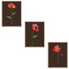 Poppies Set Botanical Fine Art Print by H Potter