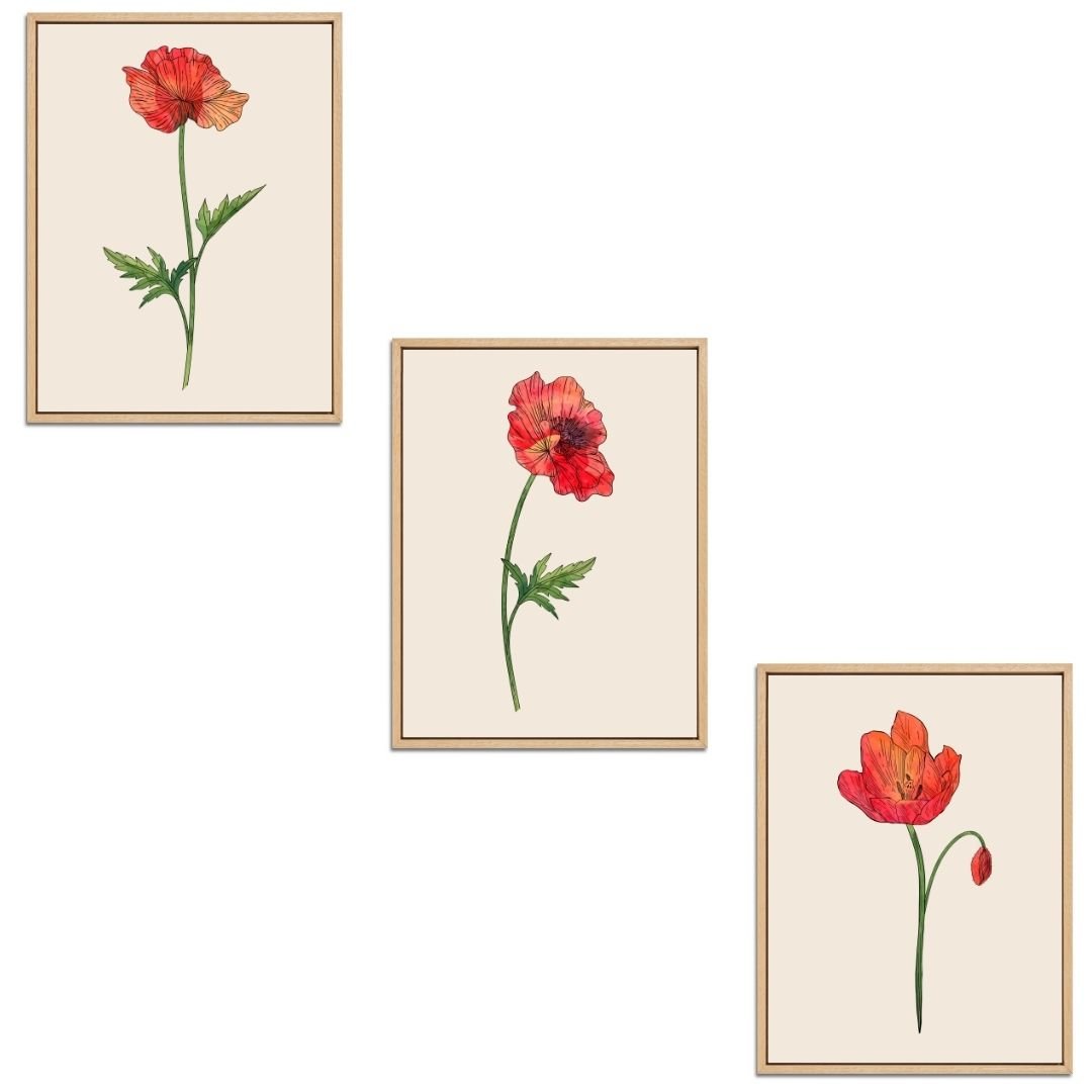 Poppies Set Botanical Fine Art Print by H Potter