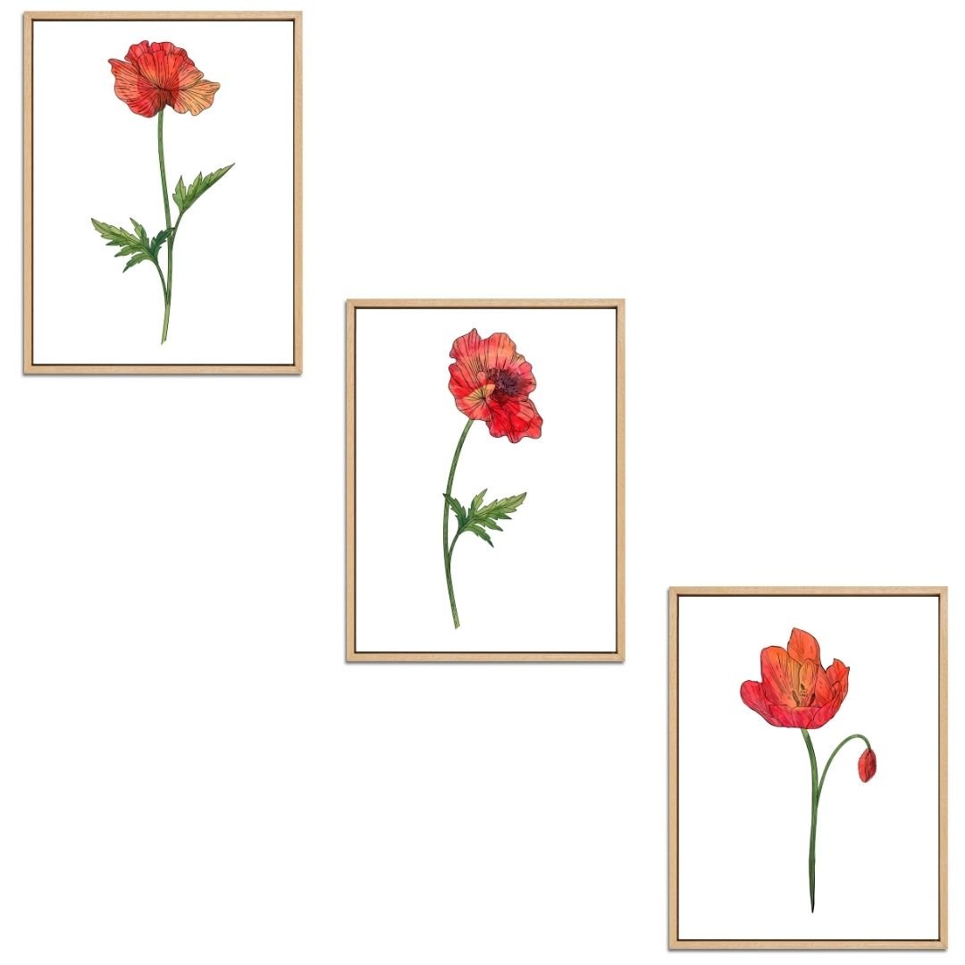 Poppies Set Botanical Fine Art Print by H Potter