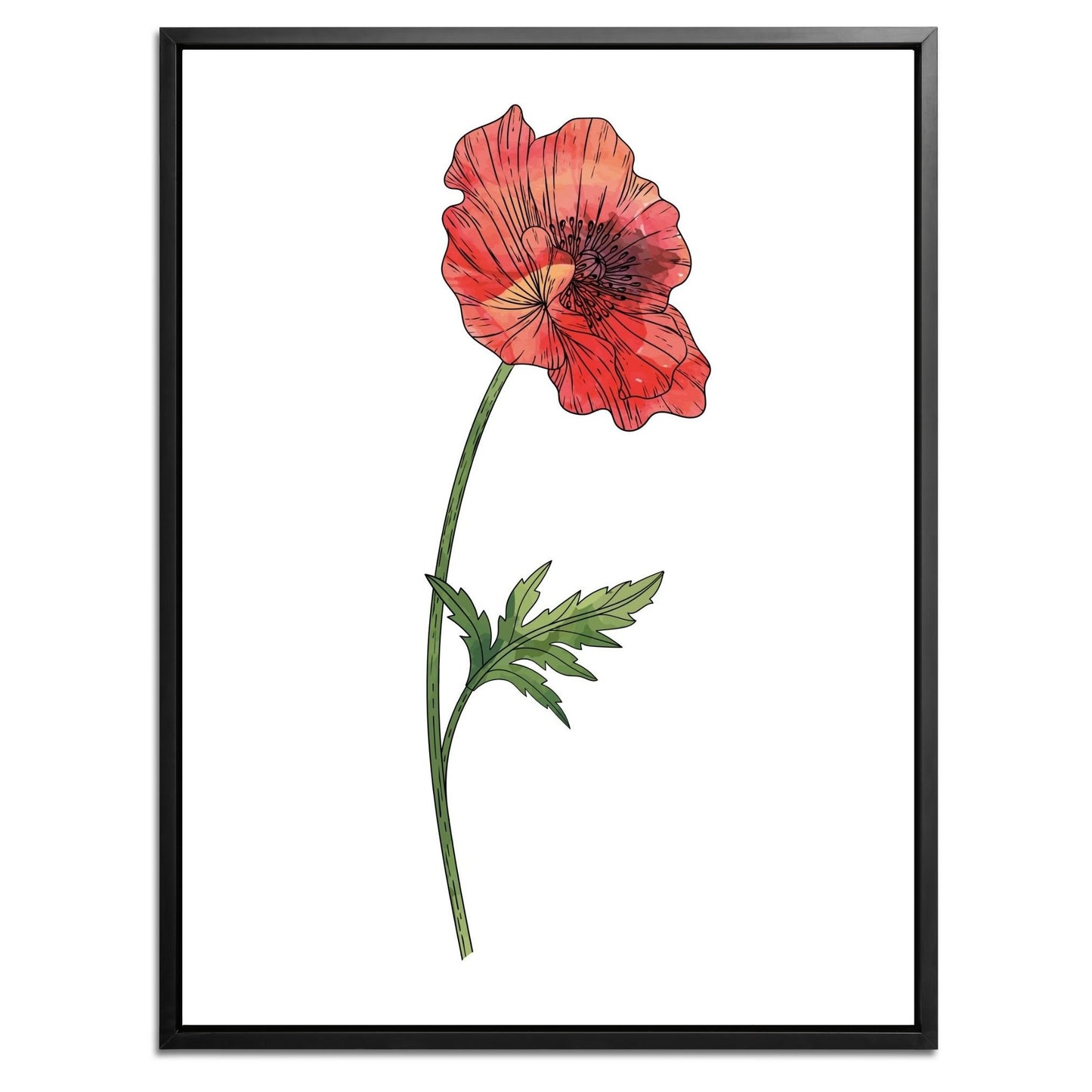 Poppy Botanical Fine Art Print by H Potter 2