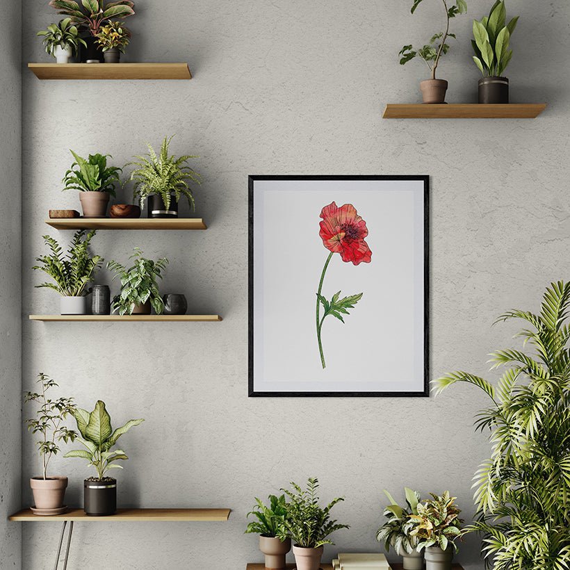 Poppies Set Botanical Fine Art Print by H Potter