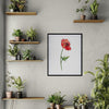 Poppies Set Botanical Fine Art Print by H Potter