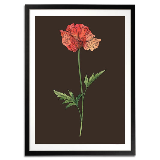 Poppy Botanical Fine Art Print by H Potter 1