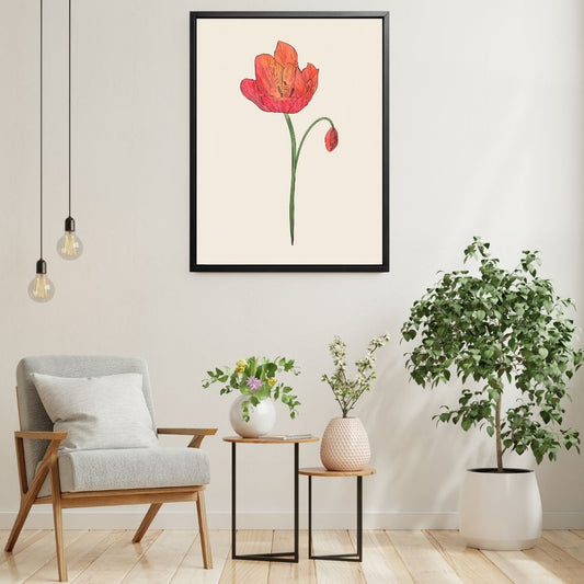 Poppy Botanical Fine Art Print by H Potter 3