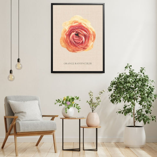 Orange Ranunculus Botanical Fine Art Print by H Potter