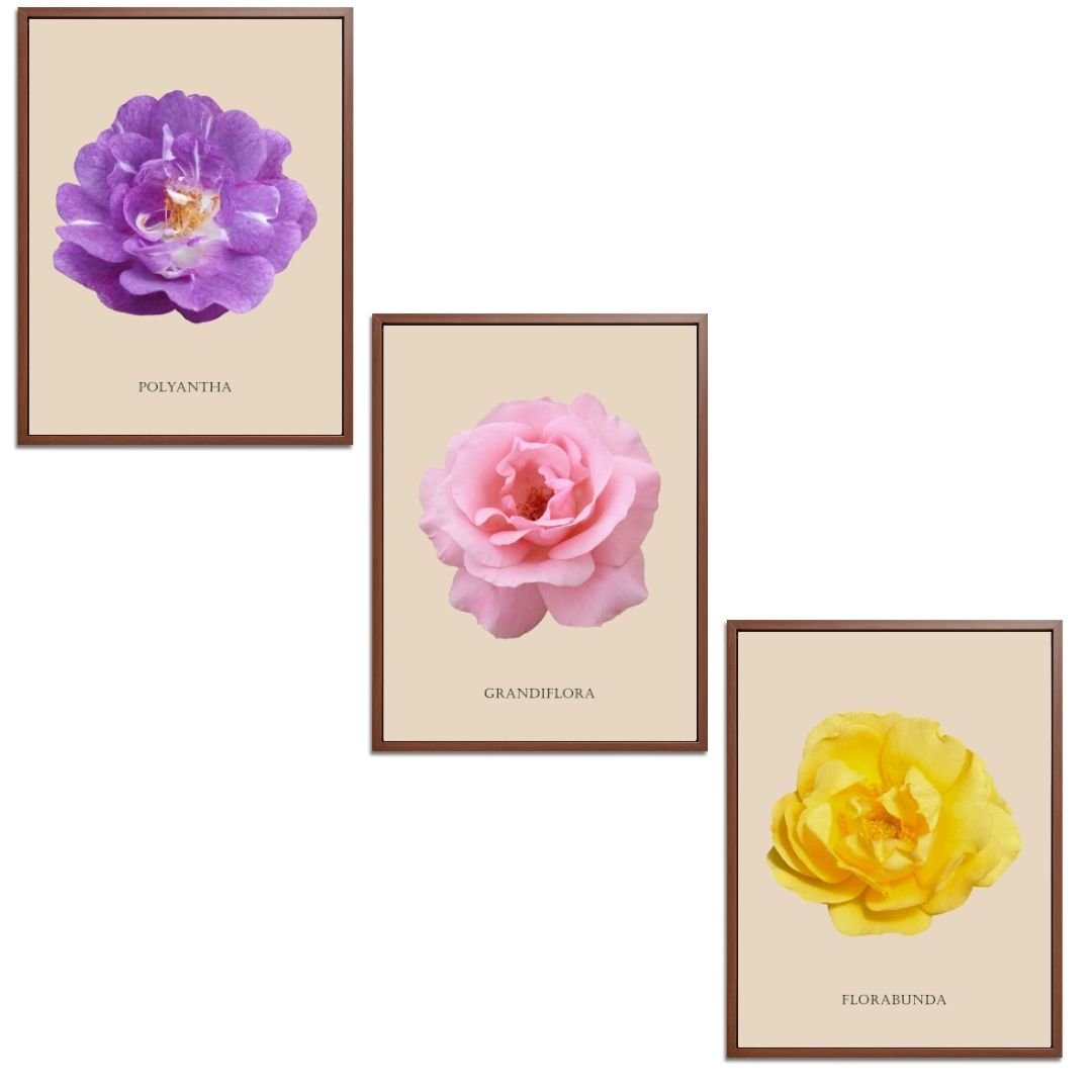 Roses Flowers Set Botanical Fine Art Print by H Potter