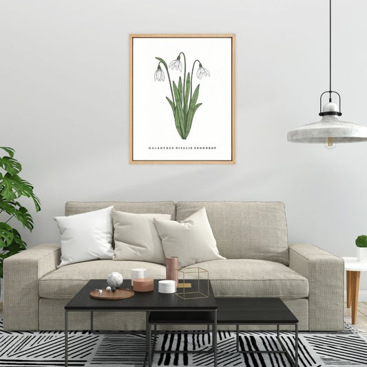 Snowdrop Botanical Fine Art Print by H Potter