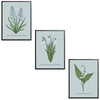 Spring Flowers Set Botanical Fine Art Print by H Potter