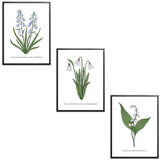 Spring Flowers Set Botanical Fine Art Print by H Potter