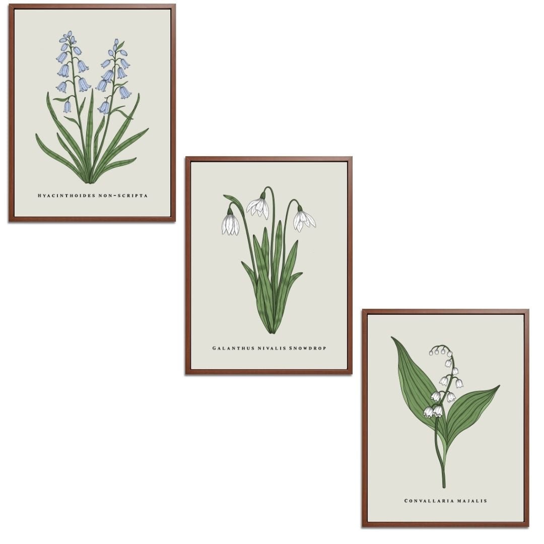 Spring Flowers Set Botanical Fine Art Print by H Potter