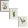 Spring Flowers Set Botanical Fine Art Print by H Potter