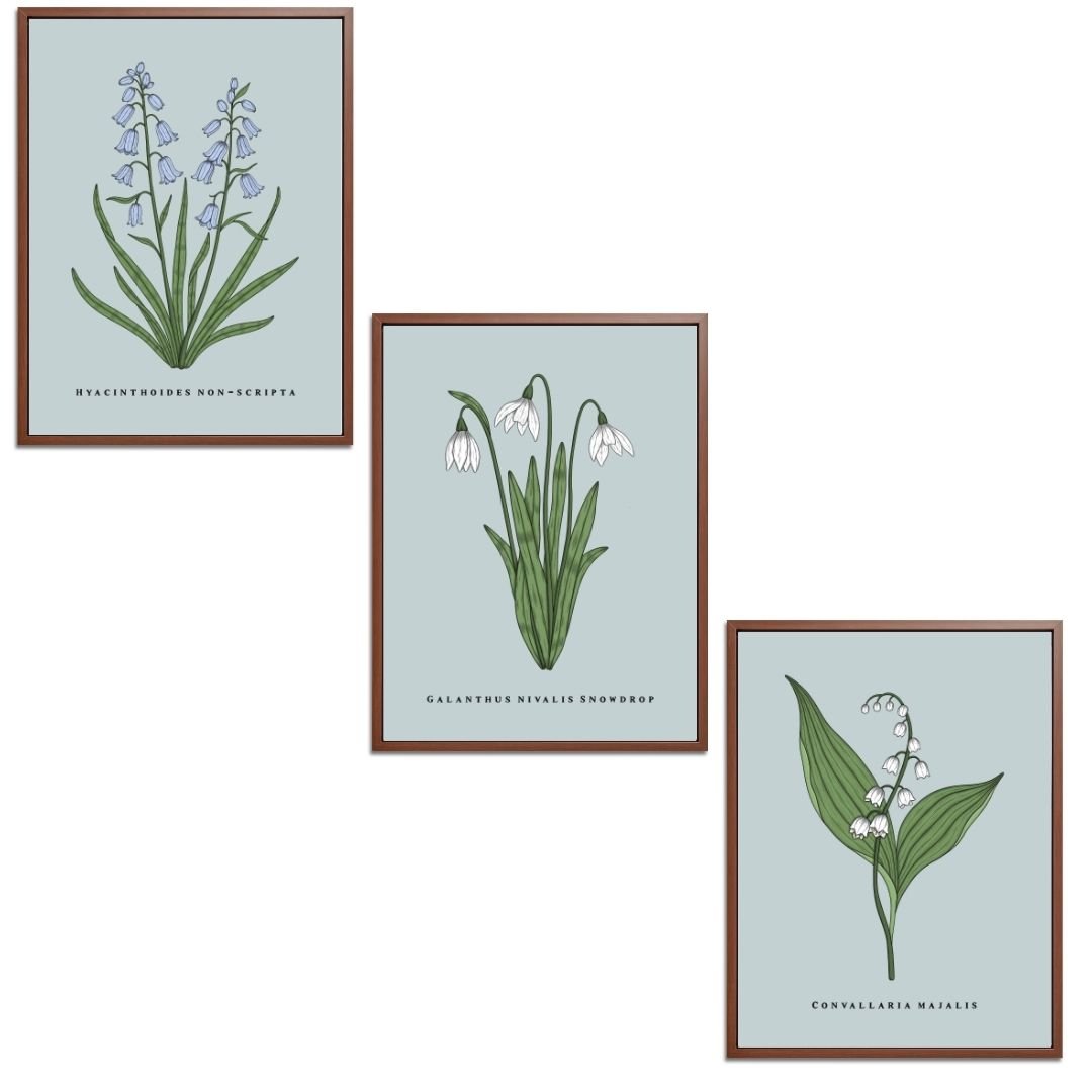 Spring Flowers Set Botanical Fine Art Print by H Potter