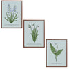Spring Flowers Set Botanical Fine Art Print by H Potter